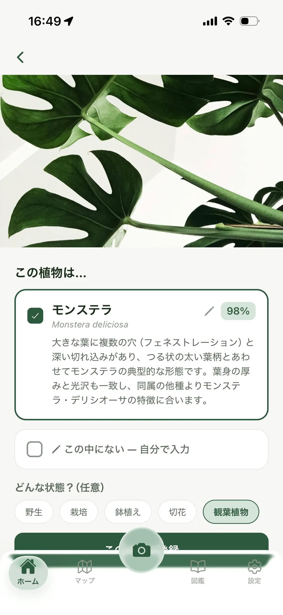 The identification screen. A photo of a monstera sits above the AI's result: the plant's name, its botanical name, a confidence score, and a short explanation of the features it matched on, with an option to correct it by hand.